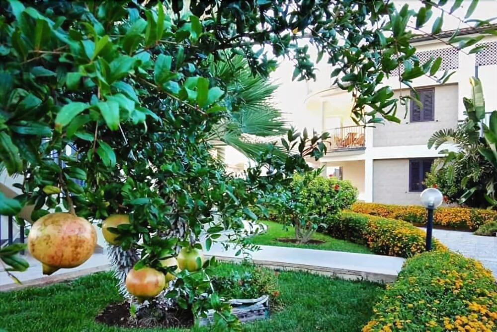 IL MELOGRANO RESIDENCE MARZAMEMI