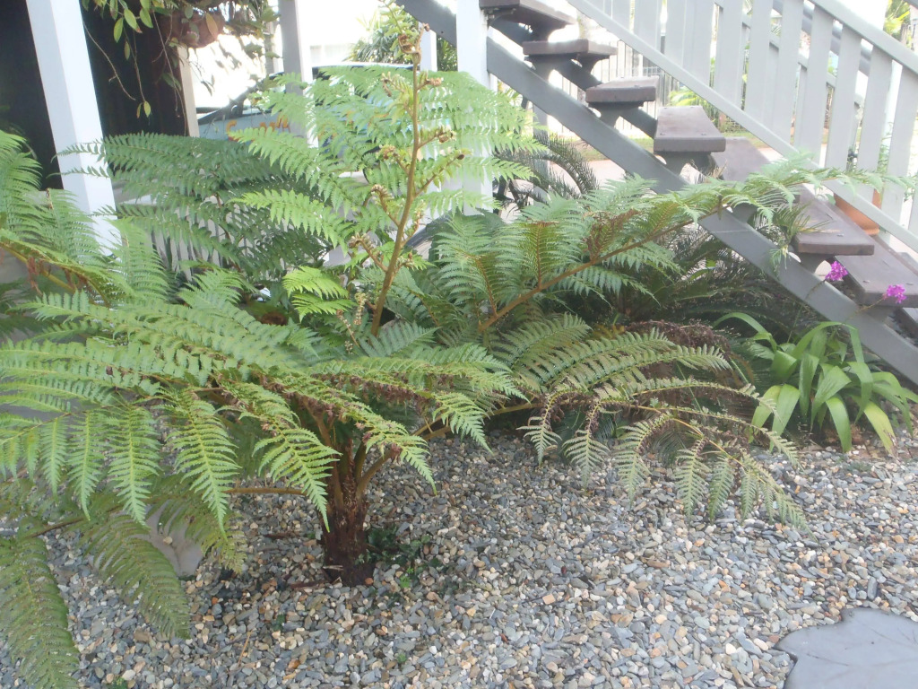 Driftwood Bed and Breakfast