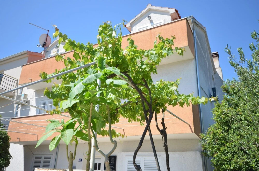 Apartment and Rooms Ive