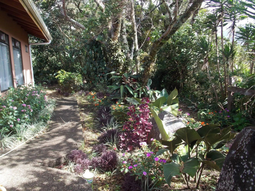 Hotel Las Orquideas