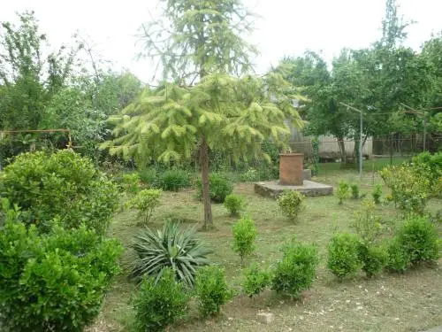 Mari-Lizi Zugdidi House