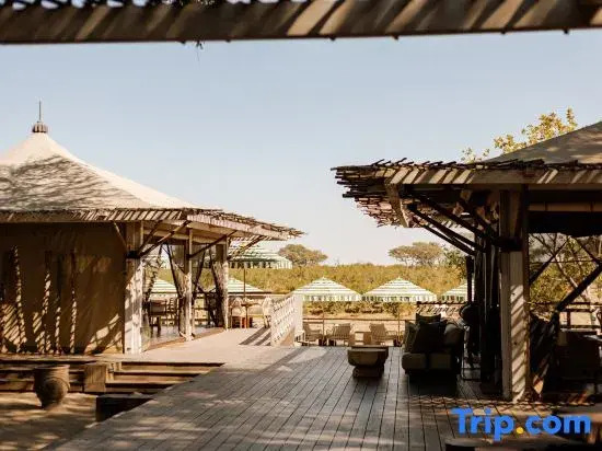 Savute Elephant Lodge