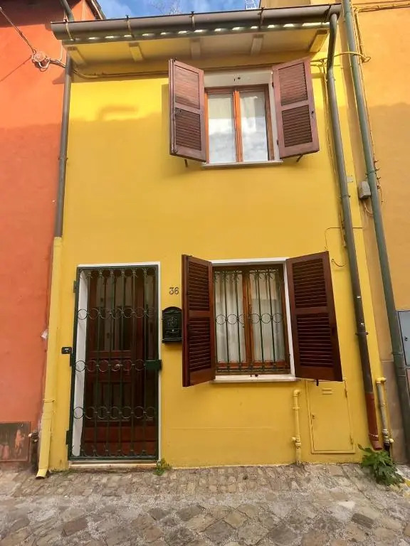 Malvezzi 36