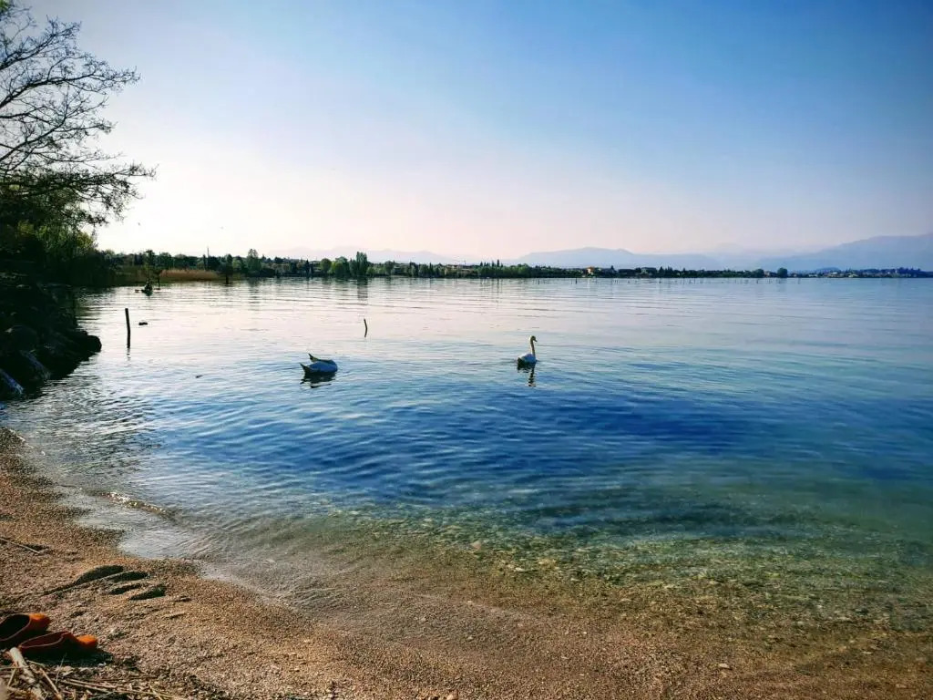 Casa Lugana 1 - Monolocale con piscina fronte lago