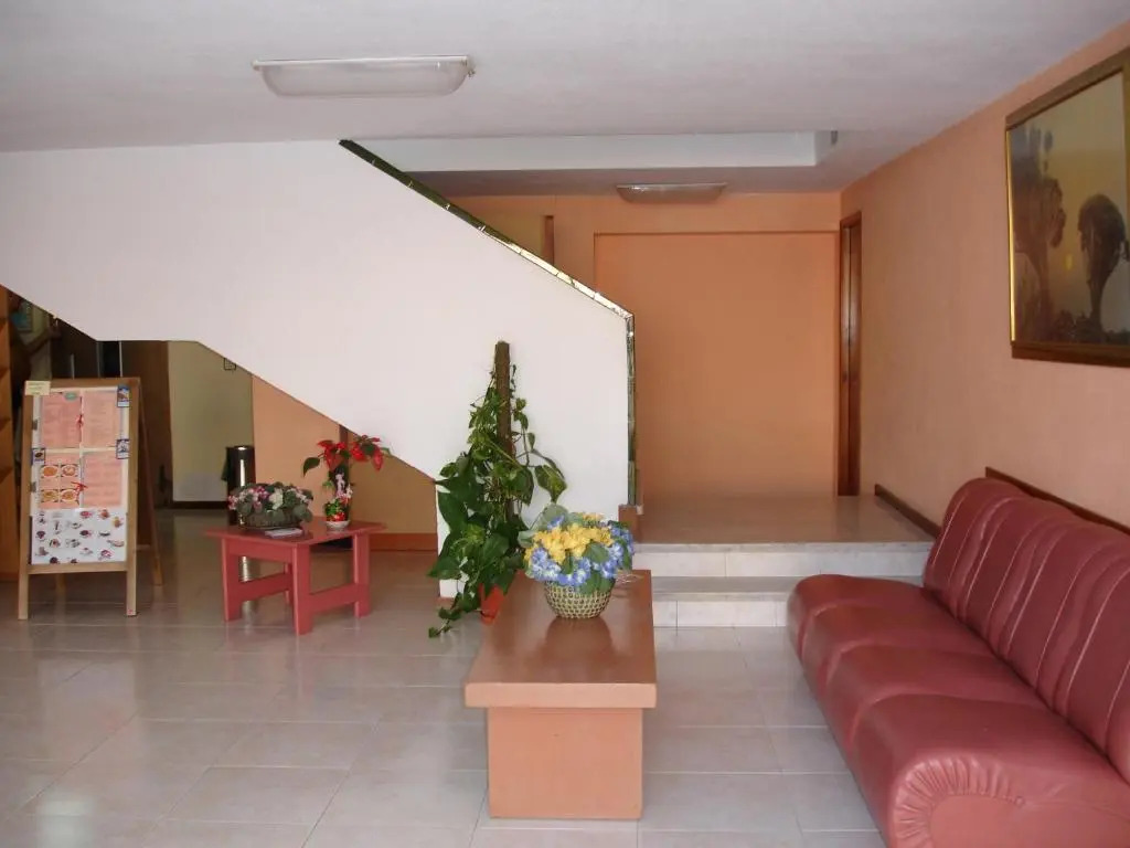 Los Ficus