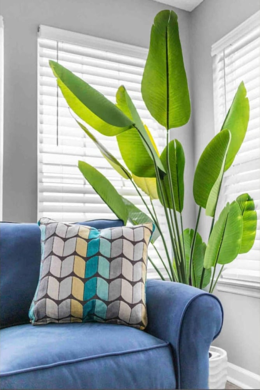 Seas the Day Bright 2BR Surfside Beach Condo w/ King Bed, Carolina Room & Pet-friendly Vibes