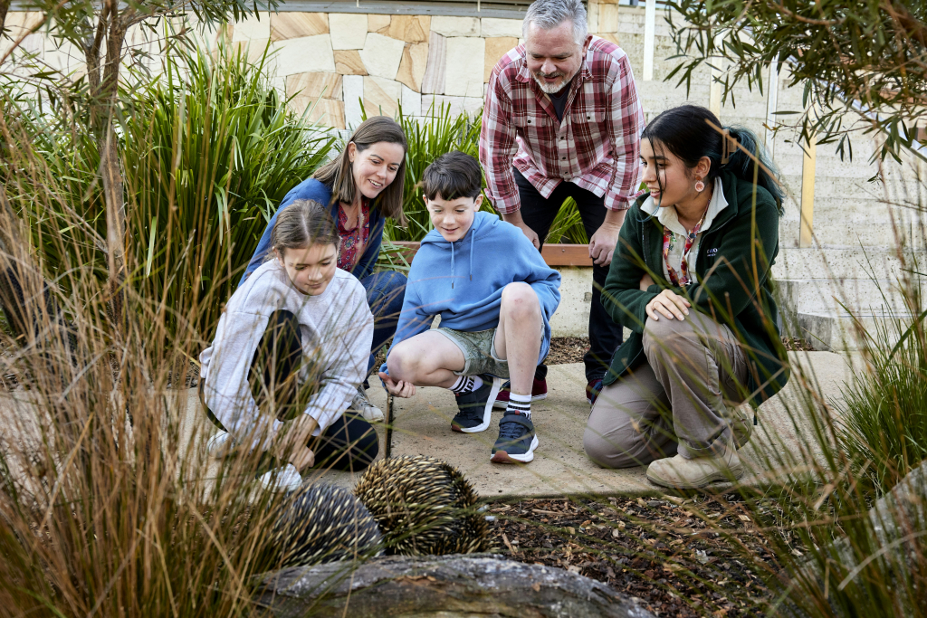 Wildlife Retreat at Taronga