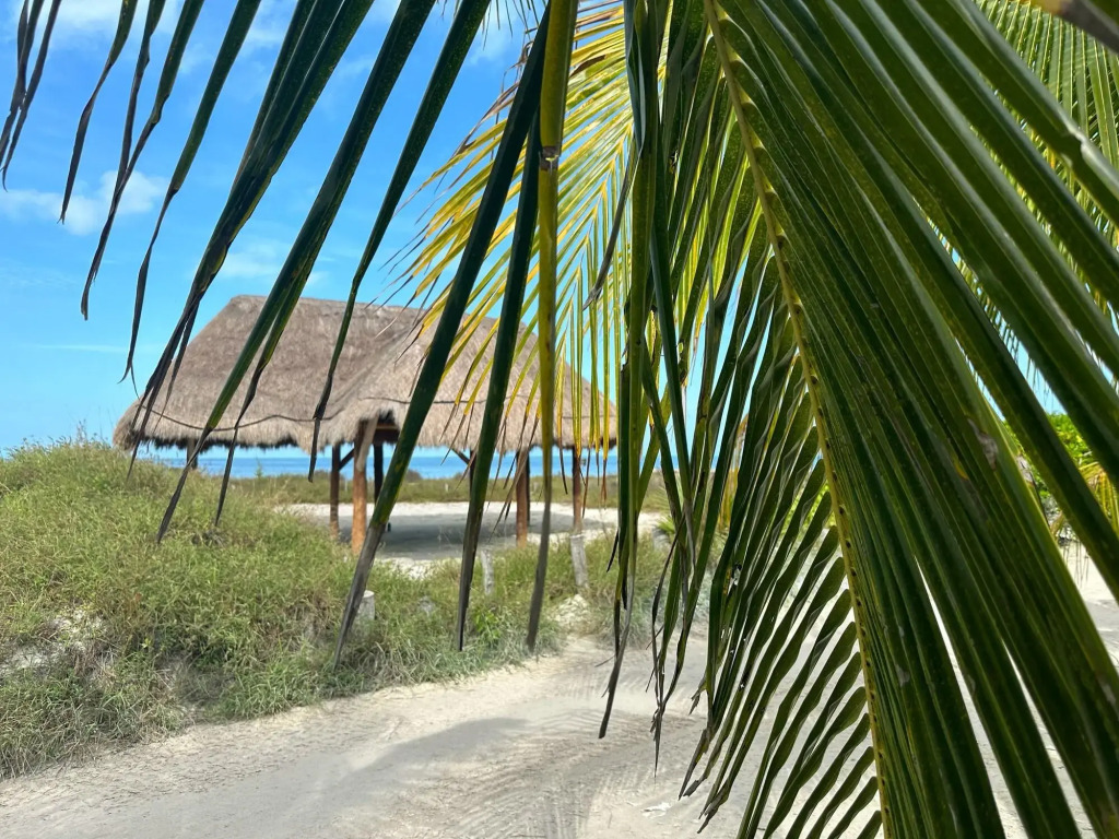Casa Luz