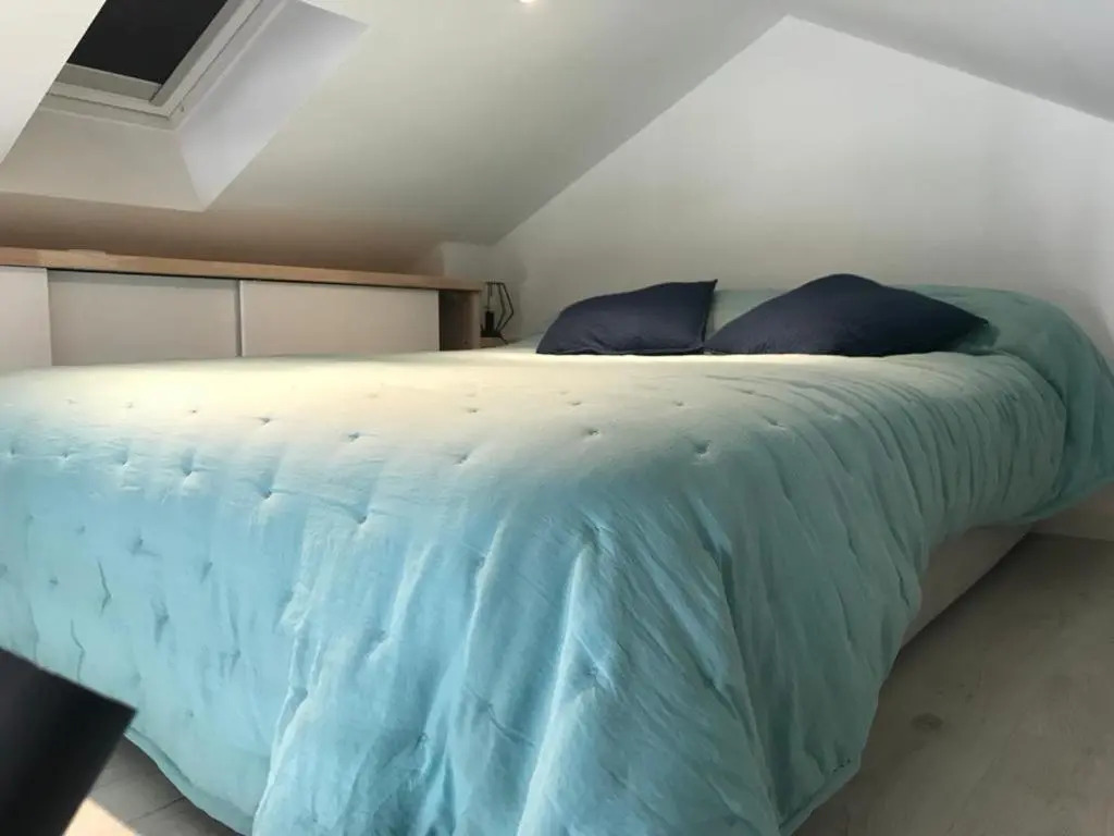 Appartement Arcachon, 1 pièce, 4 personnes - FR-1-474-161