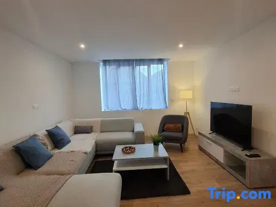Large and quiet apartment next to the city center