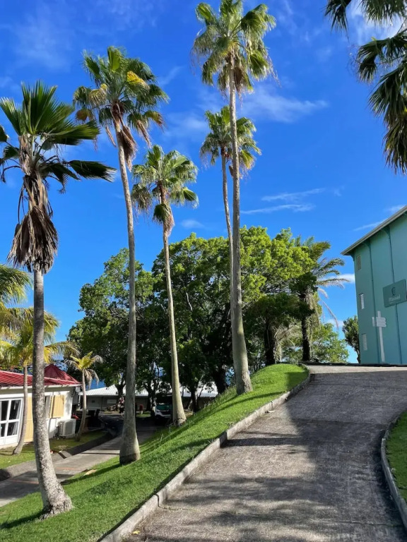 Suites Diamond Paradise