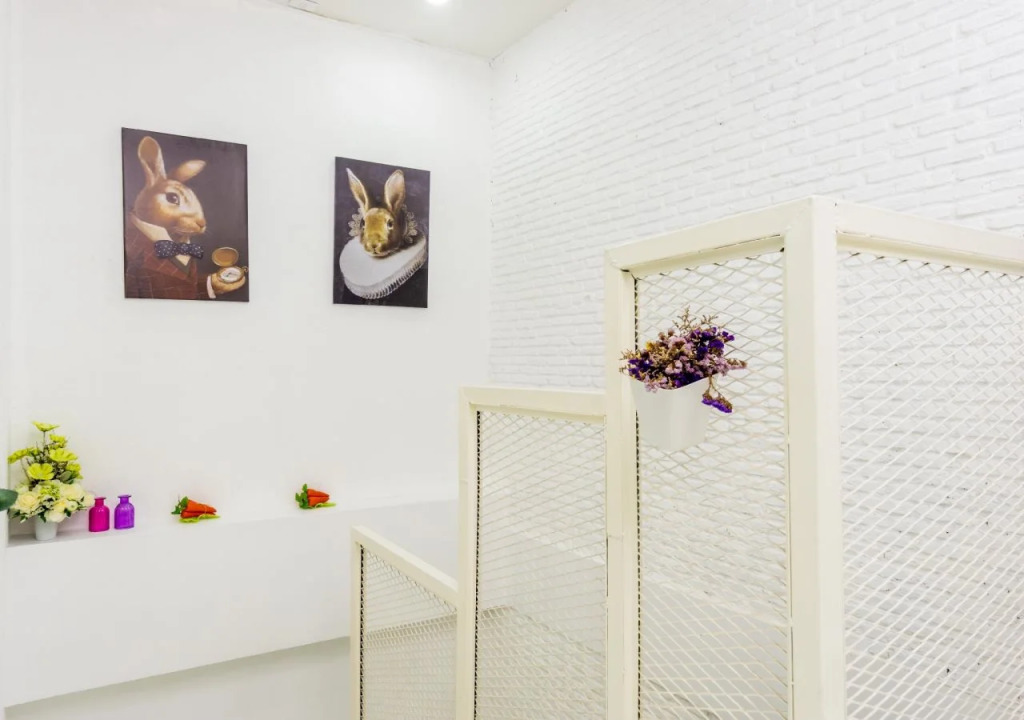 Rabbitat Hostel