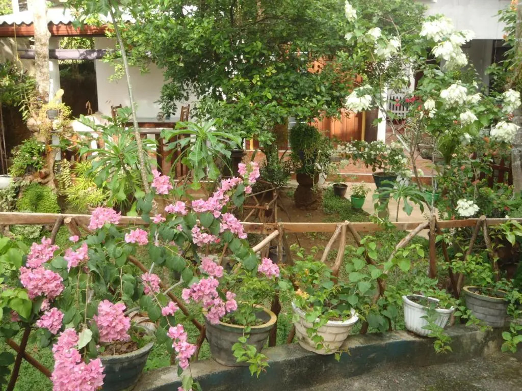 New Jaya Villa