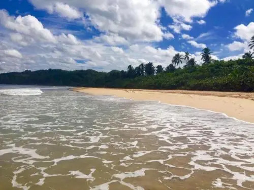 Samana Ecolodge