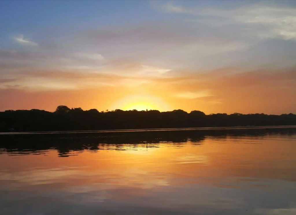 The Babylon Suite Tortuguero