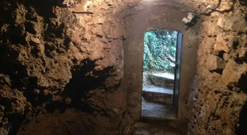 Il Tasso E L'Ulivo