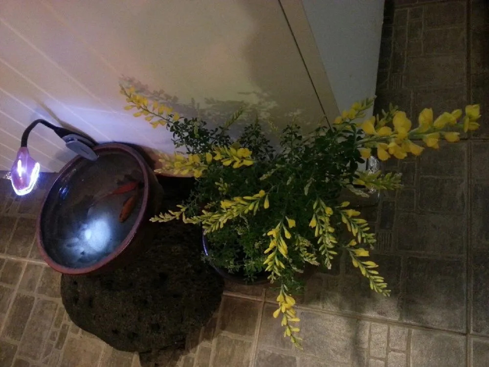 Joseph Tree Guesthouse