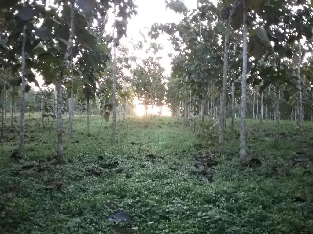 Hidden Haven - Hostel
