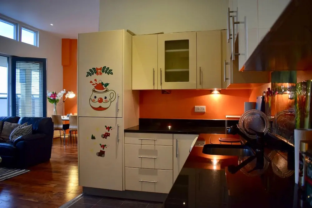 4 Bedroom Dublin Penthouse