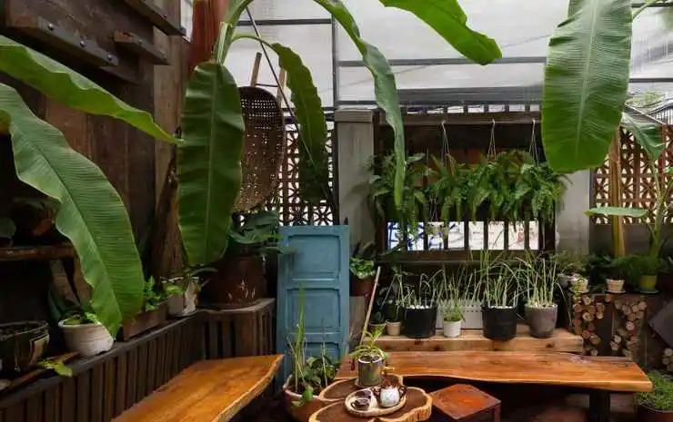 Coucou Homestead I - Homestay & Dorm District 1