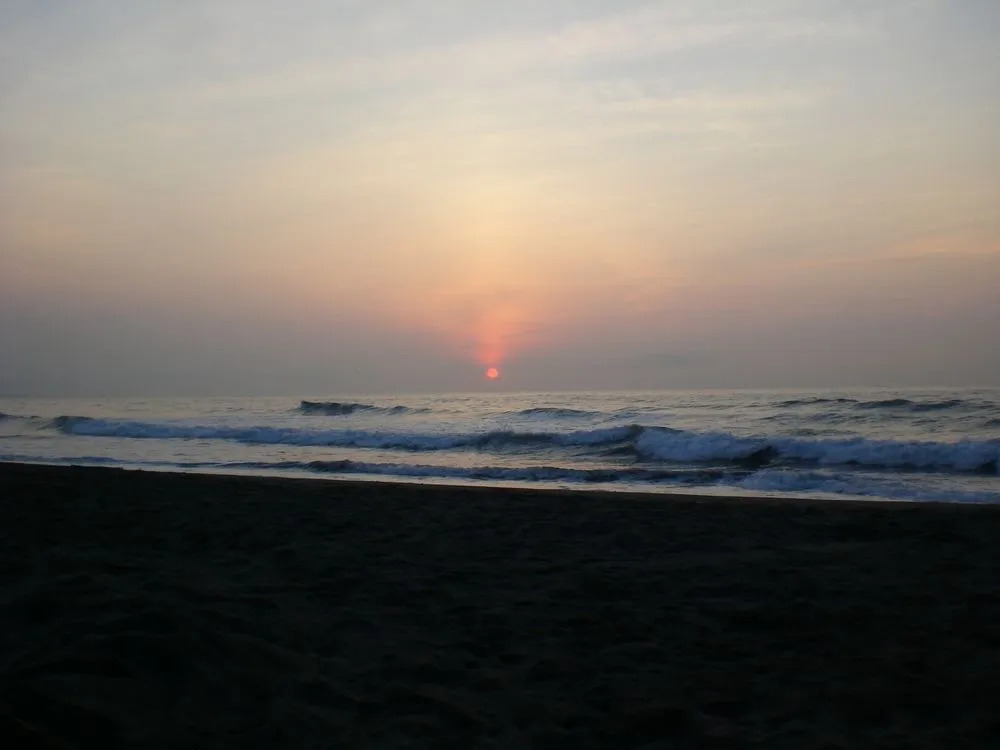 Waiao Beach House