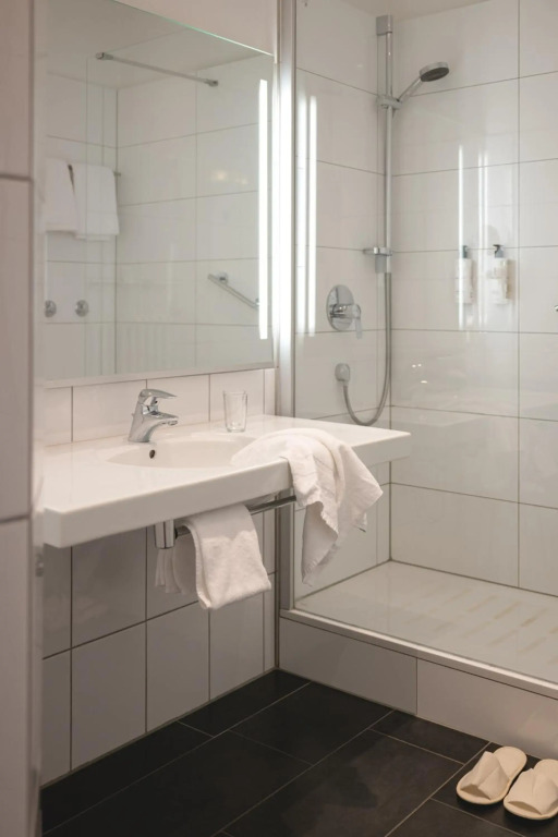 Rheinhotel Dreesen