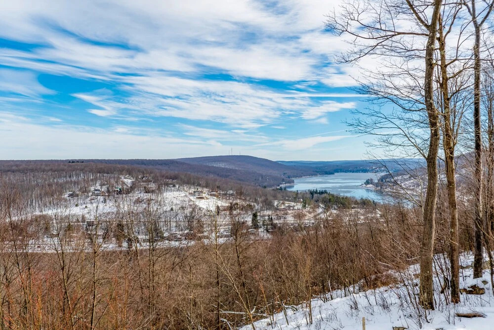 Lookout Lodge