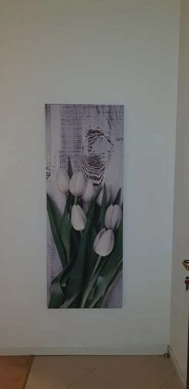 Apartment Nido Stazione II