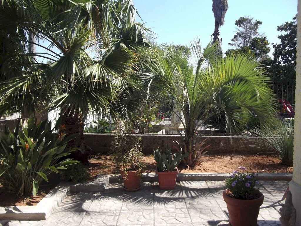 B&B Lezzi Avantgarde