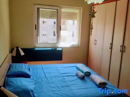 Lovely 1 1 Rental Ap In Myslym Shyri Tirana