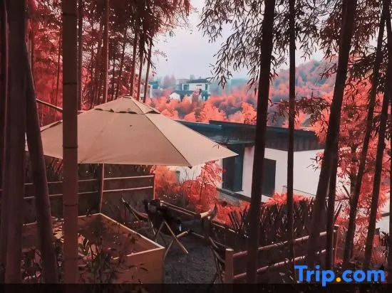 Re Healing Villa