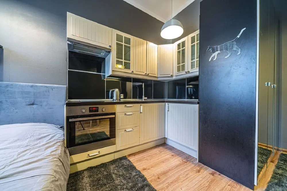 Апартаменты Loft Petrograd 2