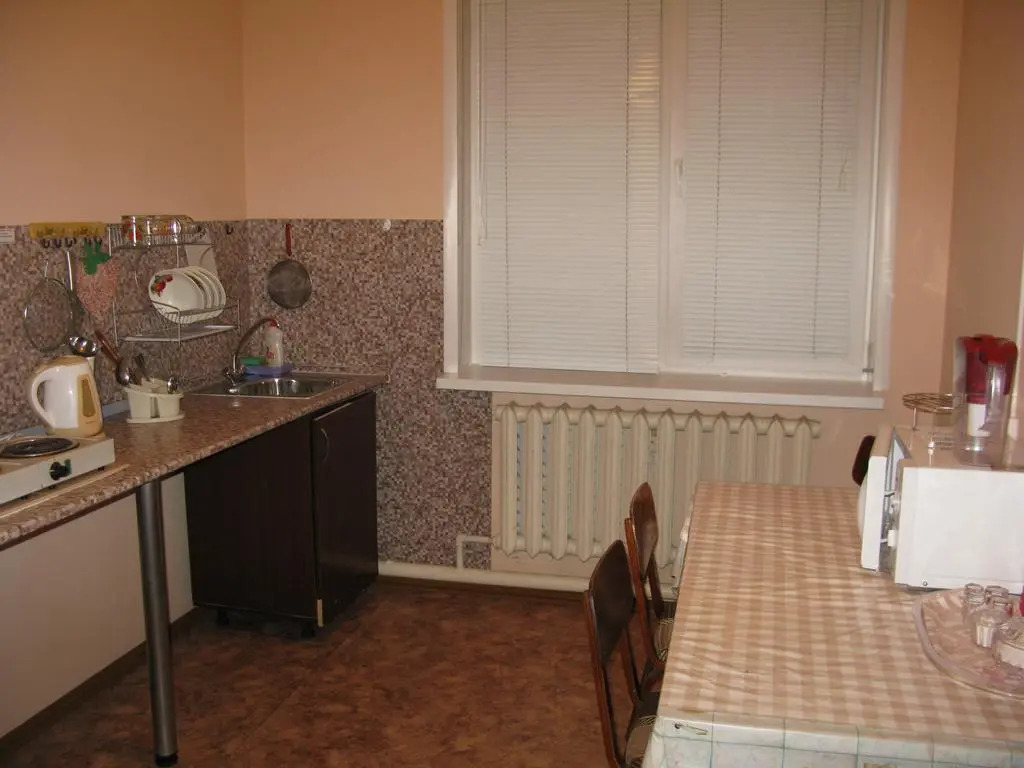 Спутник