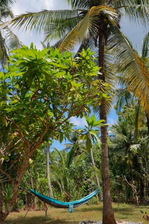 Dangin Kubu Bungalow