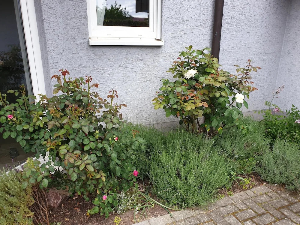 Pension Boitz
