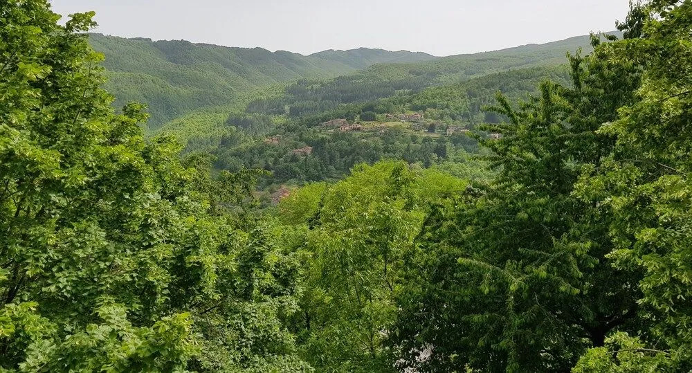 Il Canto Del Fuoco