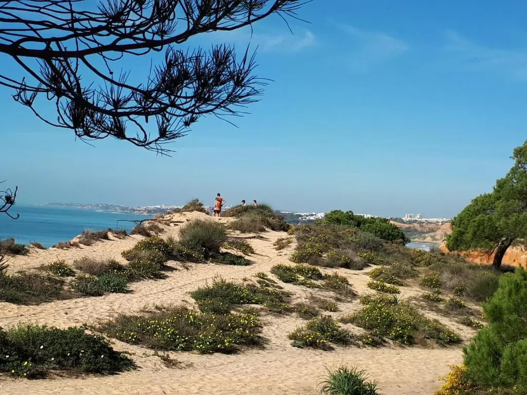 Apartamento Albufeira 6 B