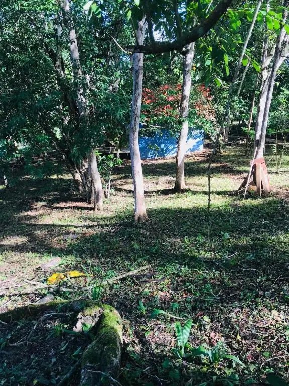 Mango Walk Inn