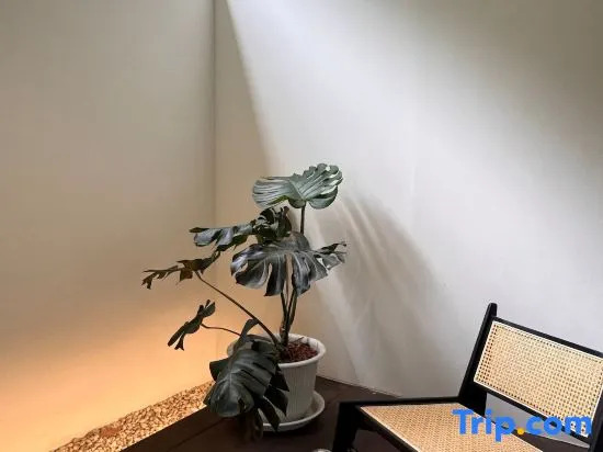 Nimman Private Suite NO.8