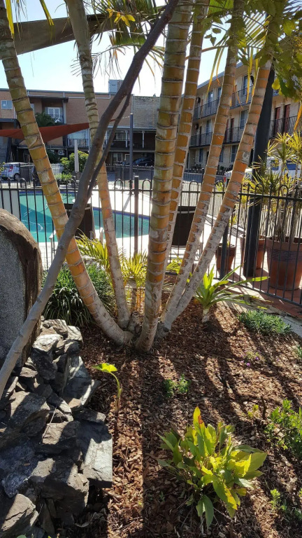 AZA Motel