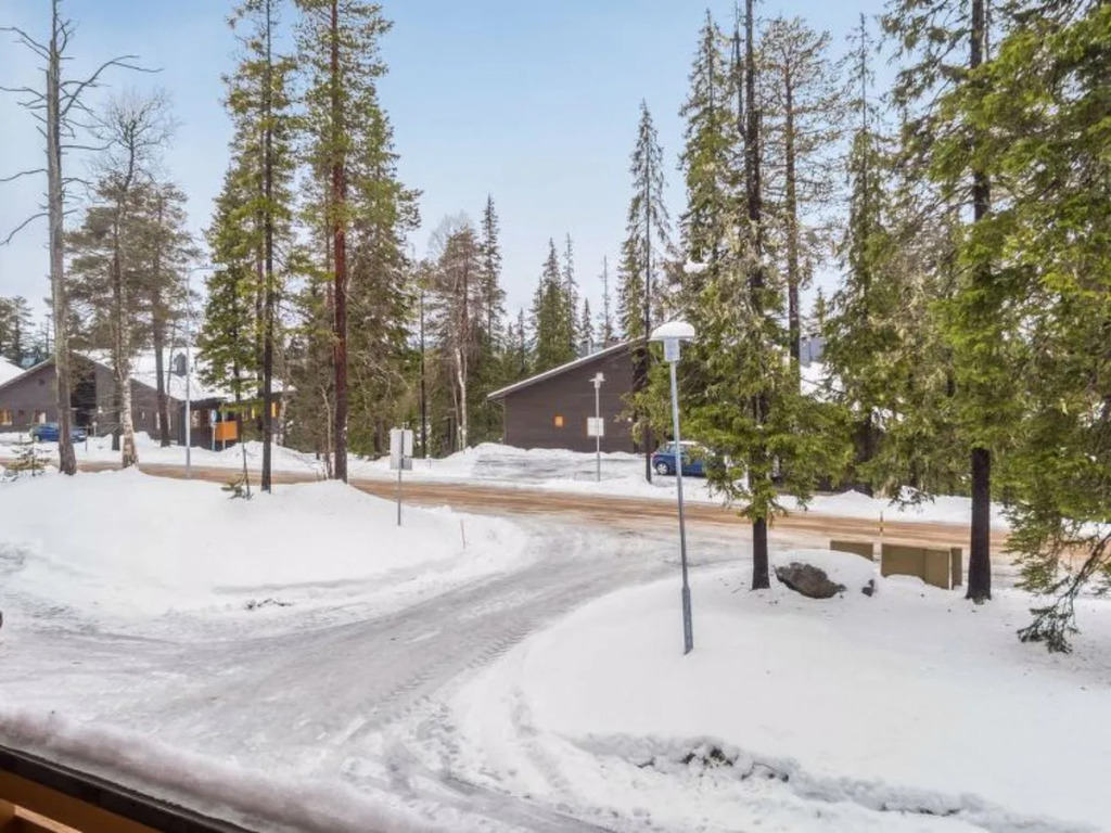 Karhunvartijan linna a1