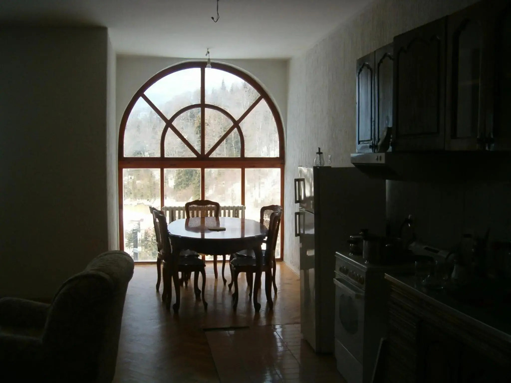 Villa Kostic Kopaonik