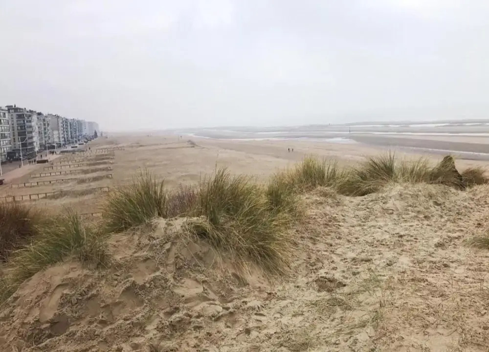 Villa in Oostduinkerke Near Dunes