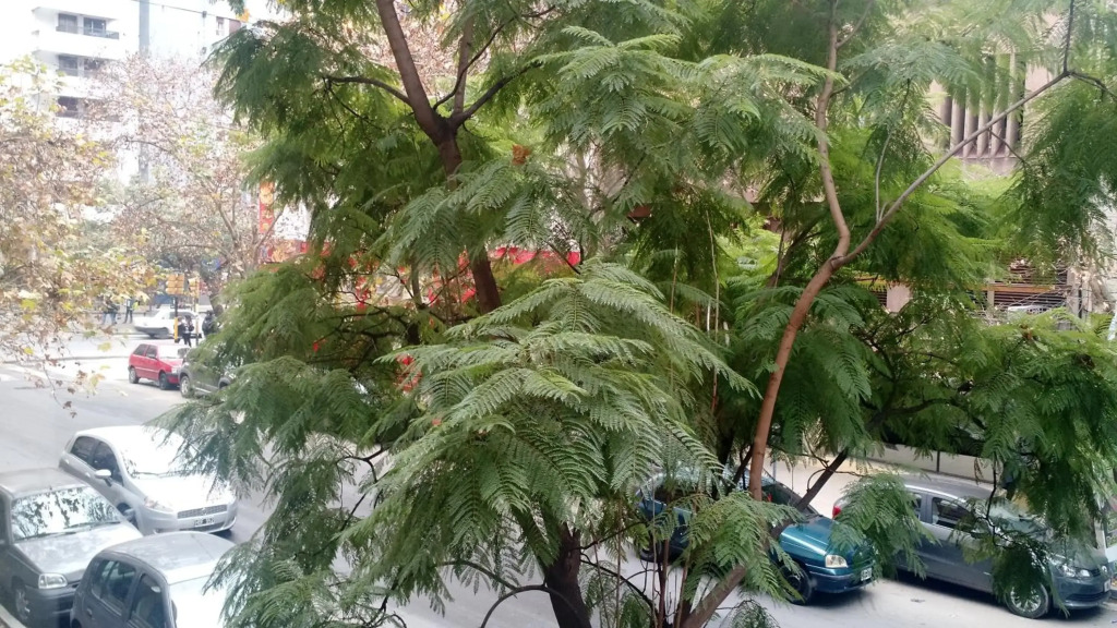 Nueva Córdoba Rondeau