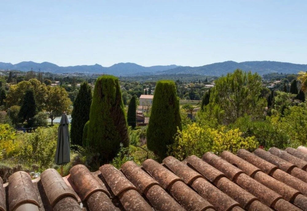 Villa la Mauvaise Herbe piscine jardin