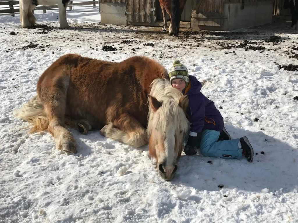 Pony-Ziegen-Hasen-Ranch Bichlbach