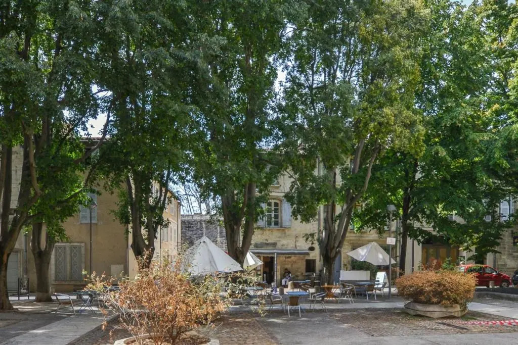 Comfortable studio apartment close to Avignon Bridge Welkeys