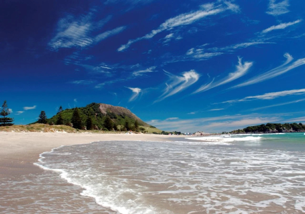 Pacific Coast Lodge and Backpackers