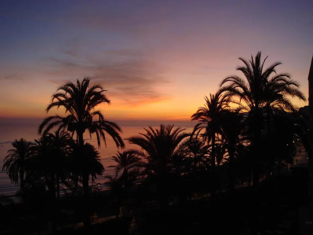 Skol 1A by Completely Marbella