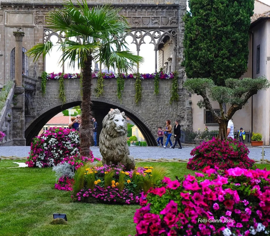 Town House Palazzo Zelli